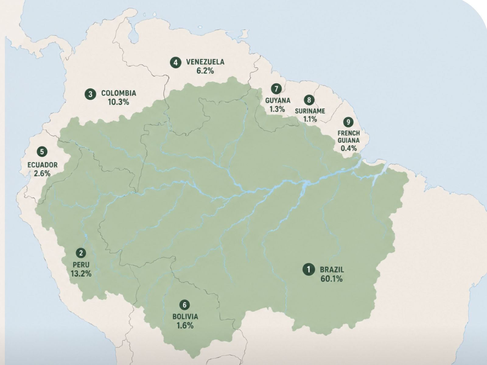 Map of the Amazon basin showing the share of the rainforest held by each of the nine Amazonian countries: Brazil 60.1%, Peru 13.2%, Colombia 10.3%, Venezuela 6.2%, Ecuador 2.6%, Bolivia 1.6%, Guyana 1.3%, Suriname 1.1%, and French Guiana 0.4%.