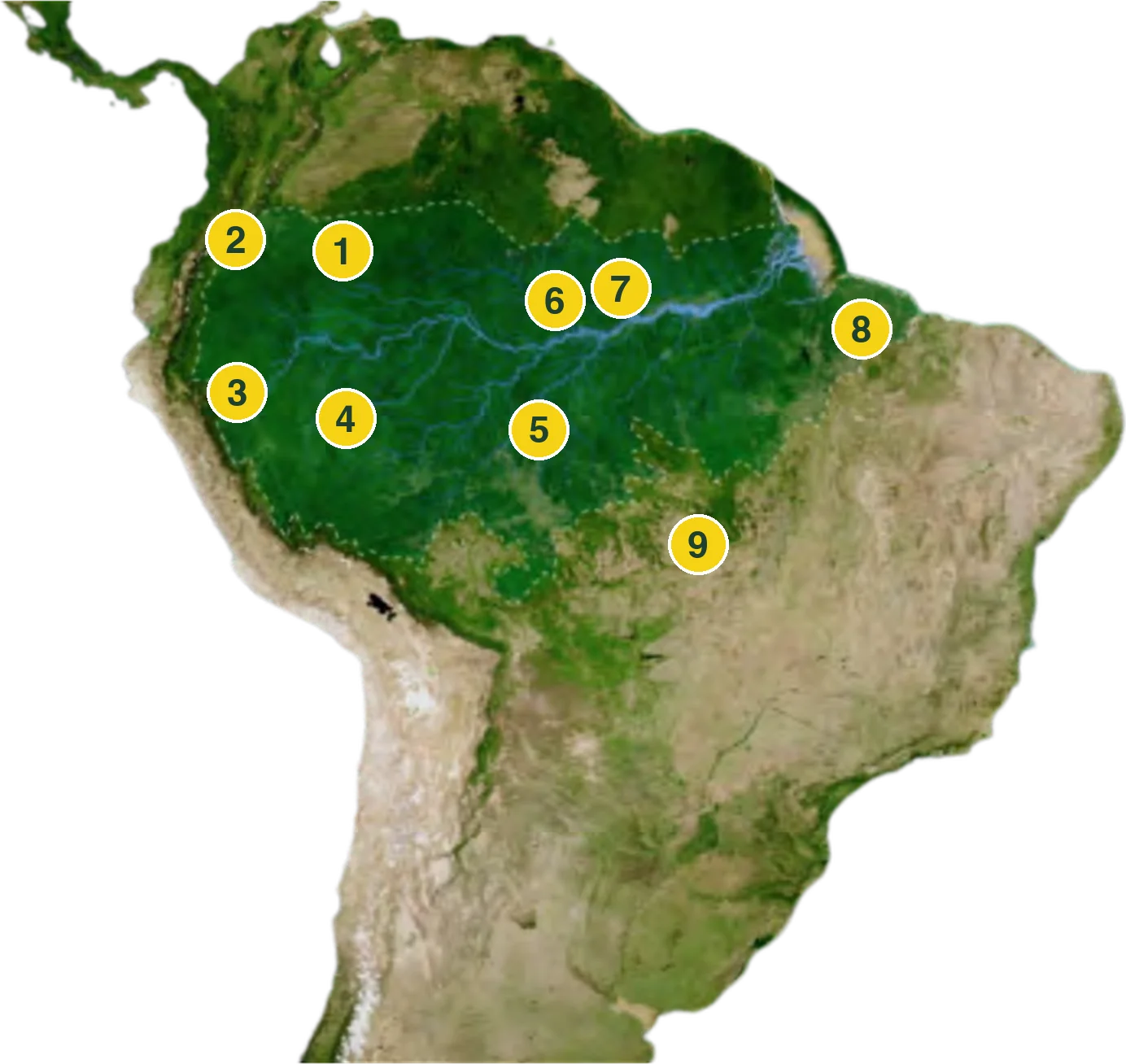 Map of the Amazon basin with nine numbered markers for the IPLC regenerative grower partners listed below.